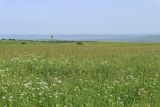 Image of landscape