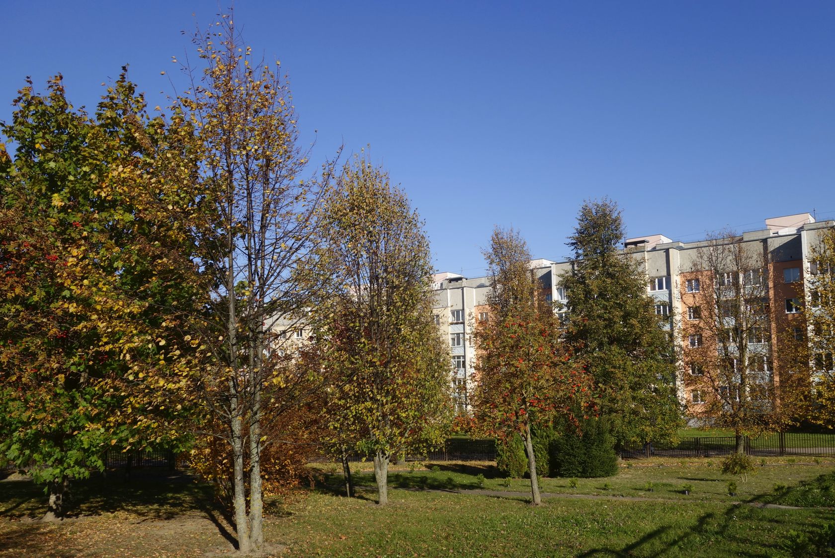 Девятовка, image of landscape/habitat.