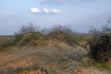 Image of landscape