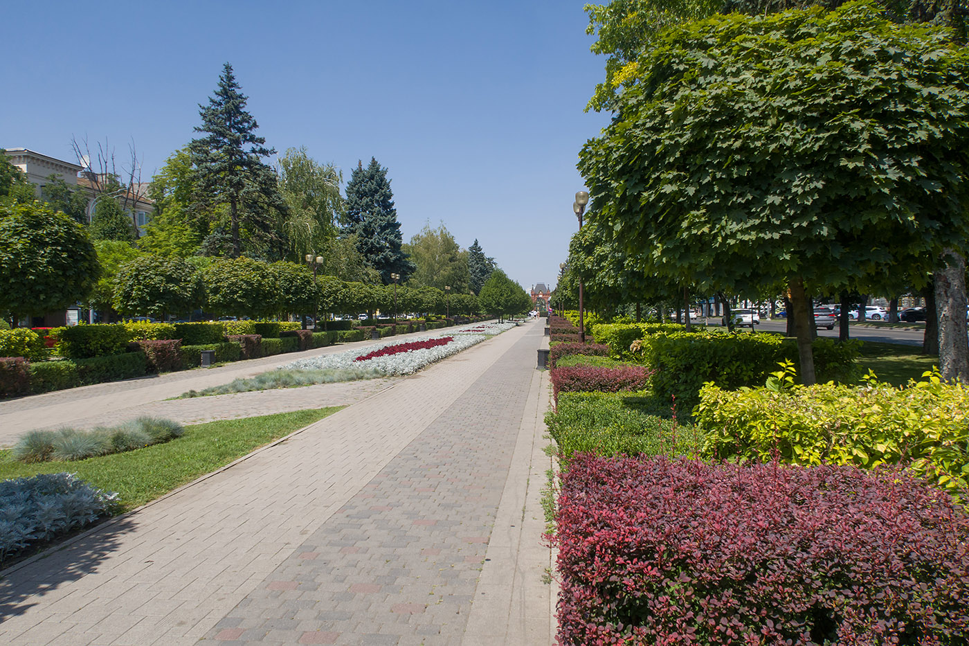 Александровский бульвар, image of landscape/habitat.