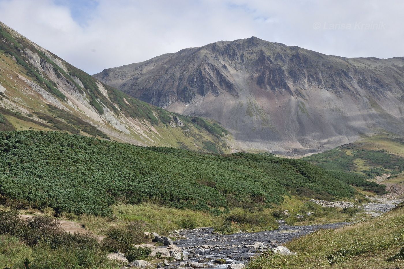 Гора Летняя Поперечная, image of landscape/habitat.