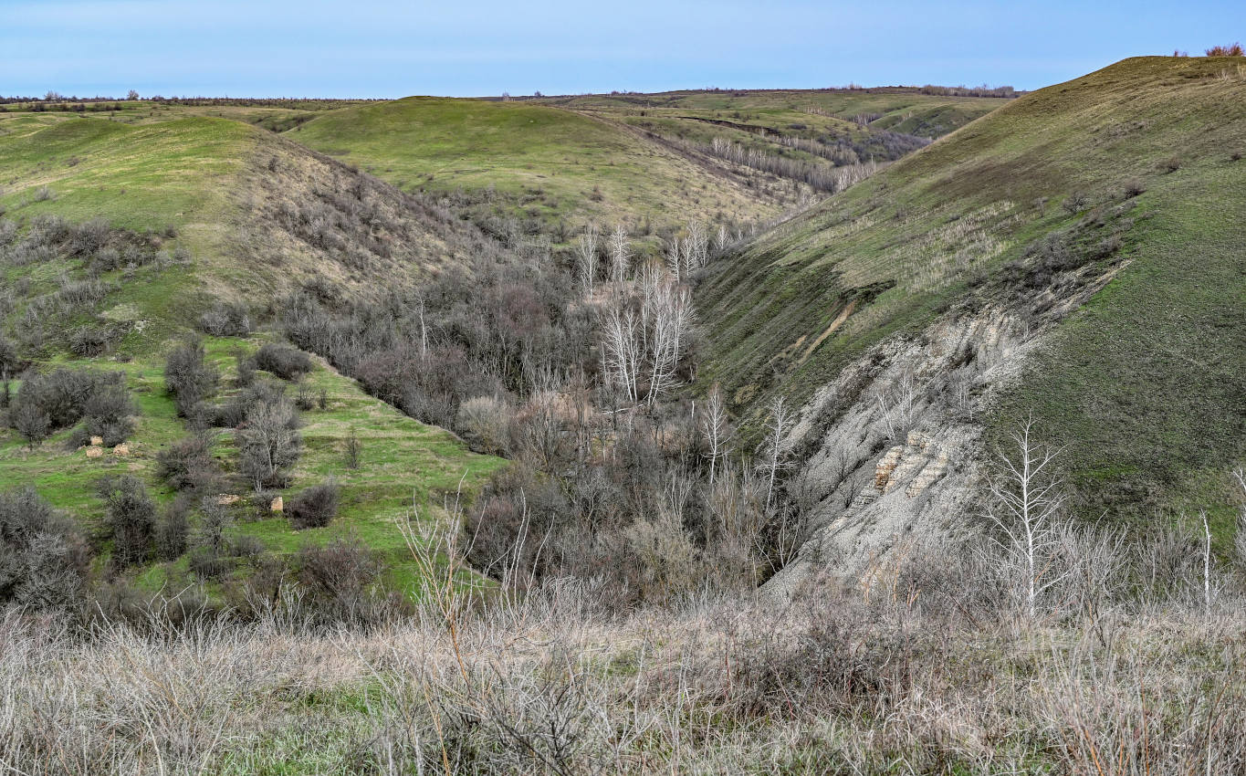 Природный парк "Щербаковский", image of landscape/habitat.