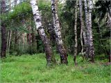Окрестности Хрипани, image of landscape/habitat.