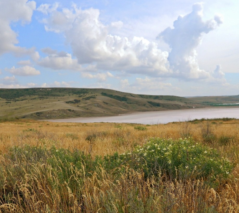 Озеро Чокрак, image of landscape/habitat.