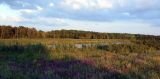 Image of landscape