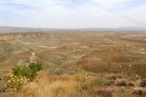 Image of landscape