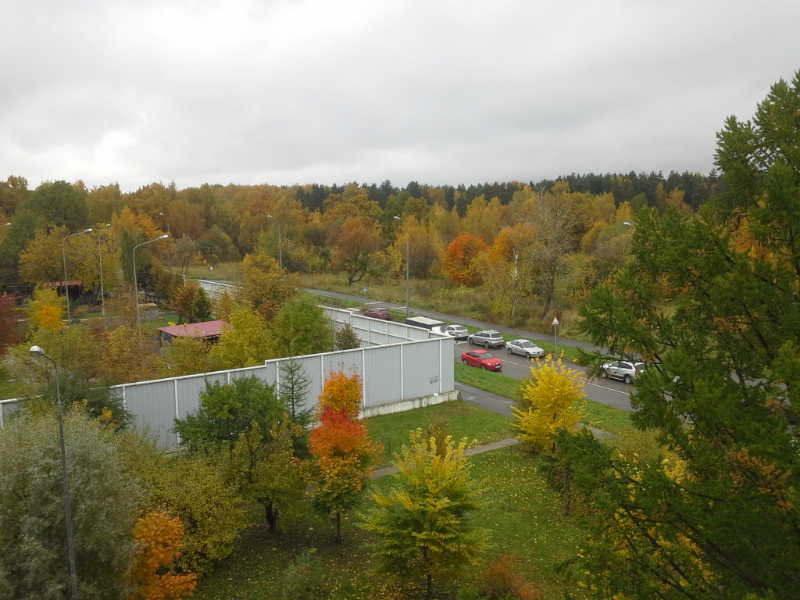 Бутовский лесопарк, image of landscape/habitat.