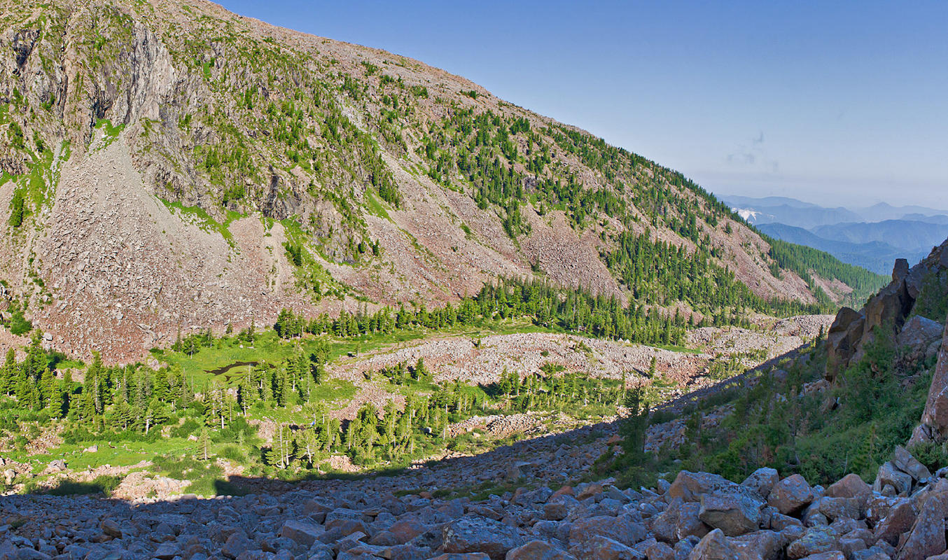 Борус, image of landscape/habitat.