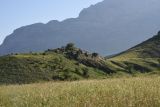 Image of landscape