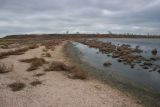 Коса Голенькая, image of landscape/habitat.