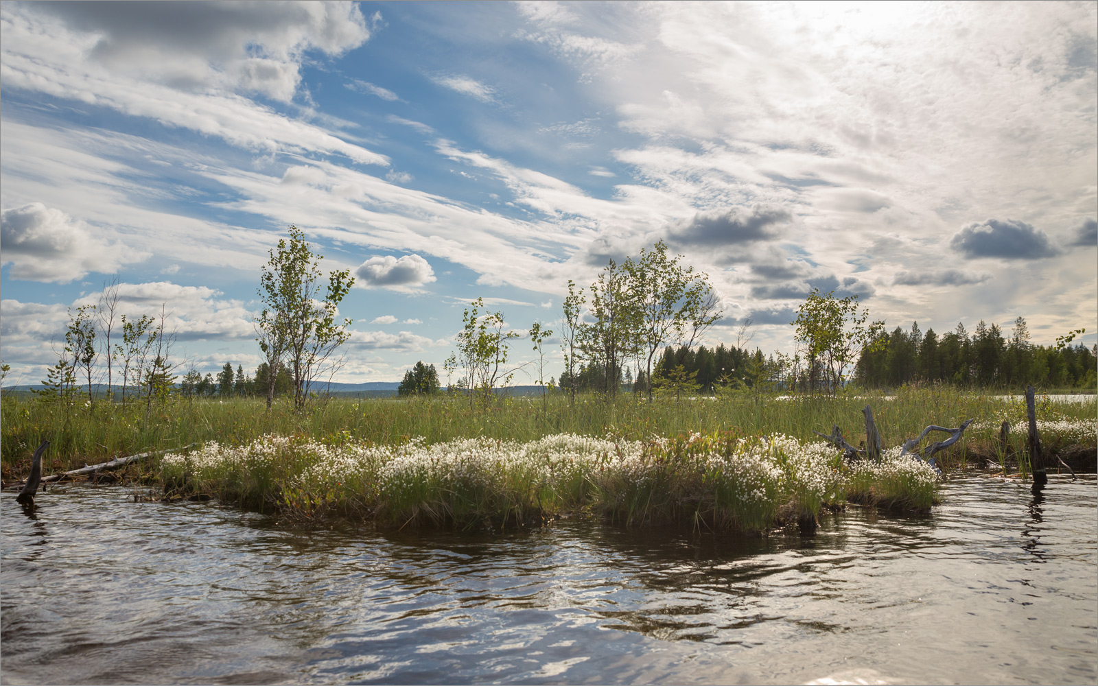 Нотозеро, image of landscape/habitat.