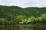 Image of landscape