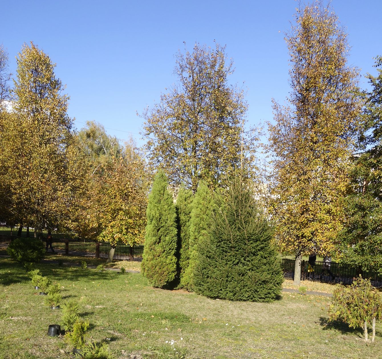 Девятовка, image of landscape/habitat.