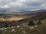 Ай-Петринская яйла, image of landscape/habitat.