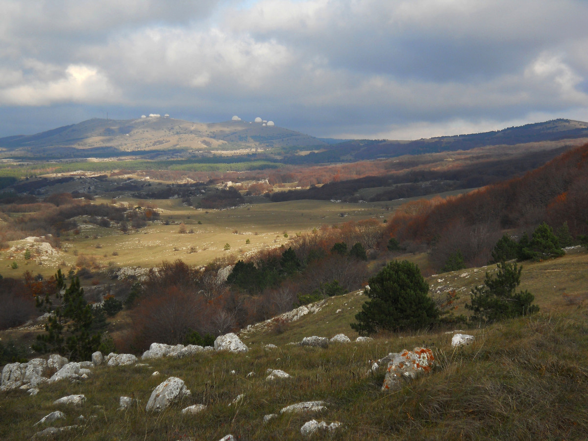 Ай-Петринская яйла, image of landscape/habitat.