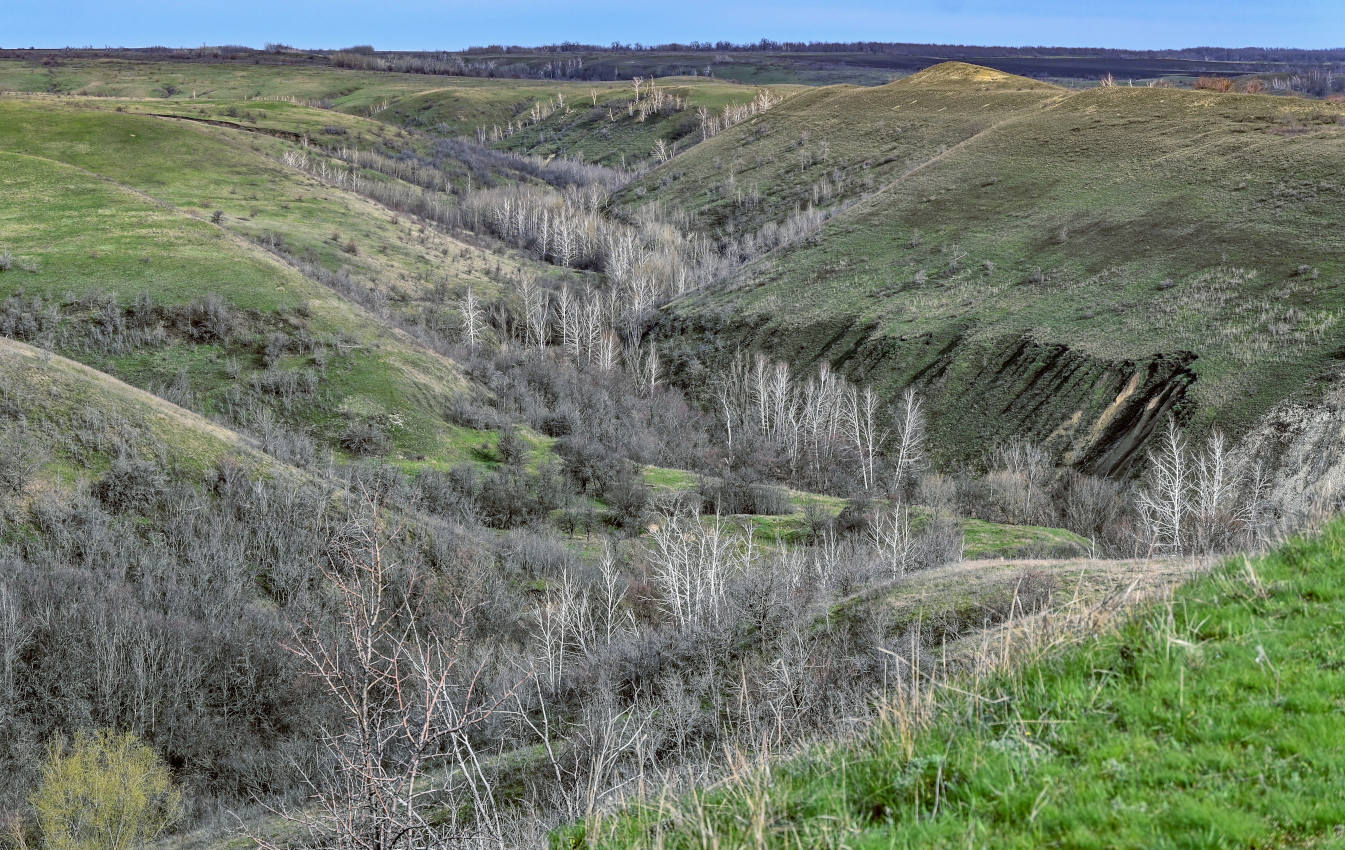 Природный парк "Щербаковский", image of landscape/habitat.
