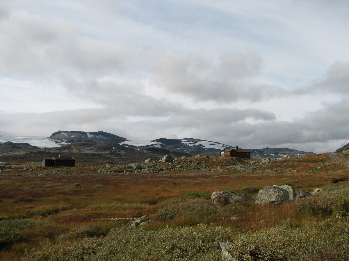 Finse, image of landscape/habitat.