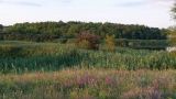 Image of landscape