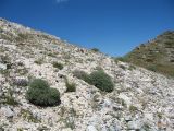 Перевал Кши-Каинды, image of landscape/habitat.