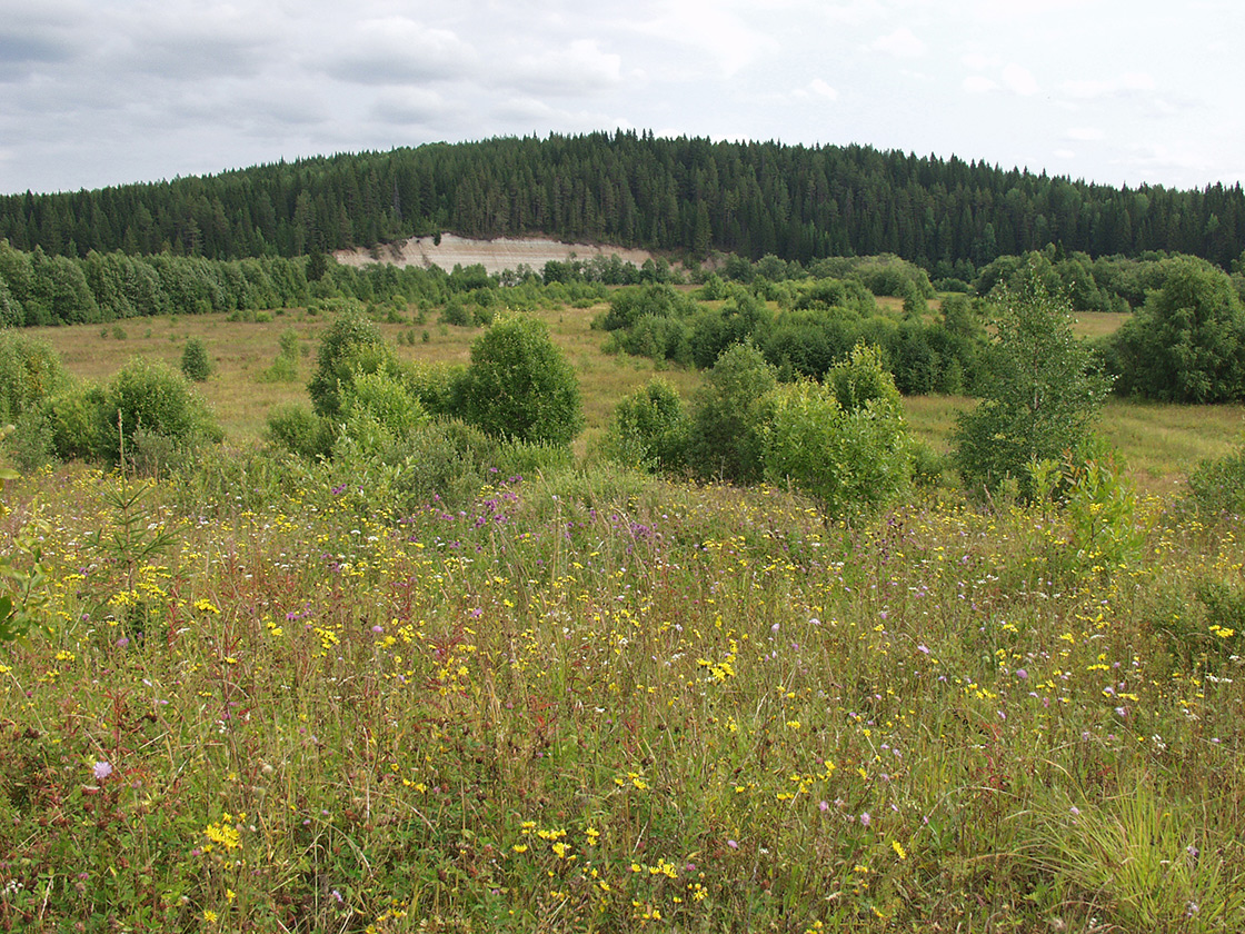 Акичкин Починок, image of landscape/habitat.