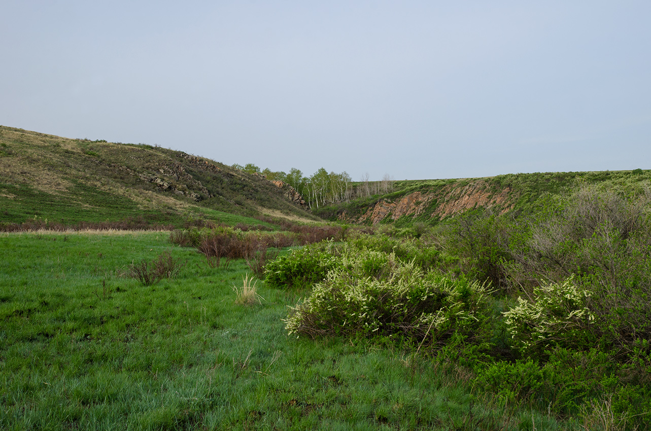 Каменка, image of landscape/habitat.