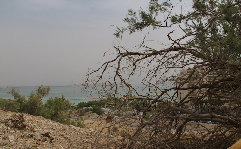 Мёртвое море, image of landscape/habitat.