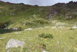 Ацгарские озёра, image of landscape/habitat.
