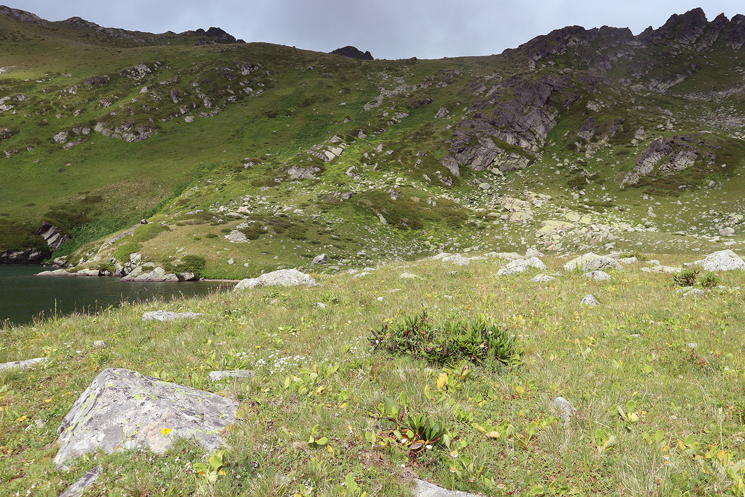 Ацгарские озёра, image of landscape/habitat.