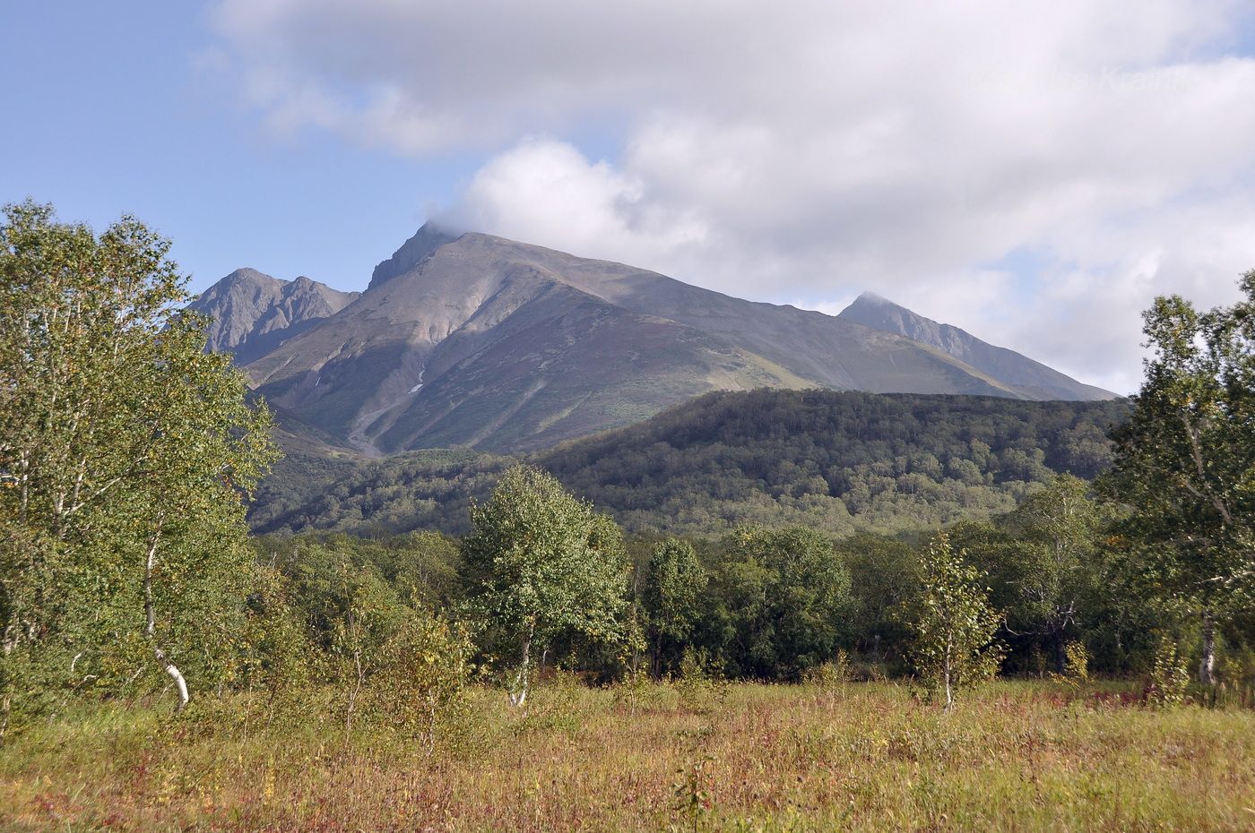 Тахколоч, image of landscape/habitat.