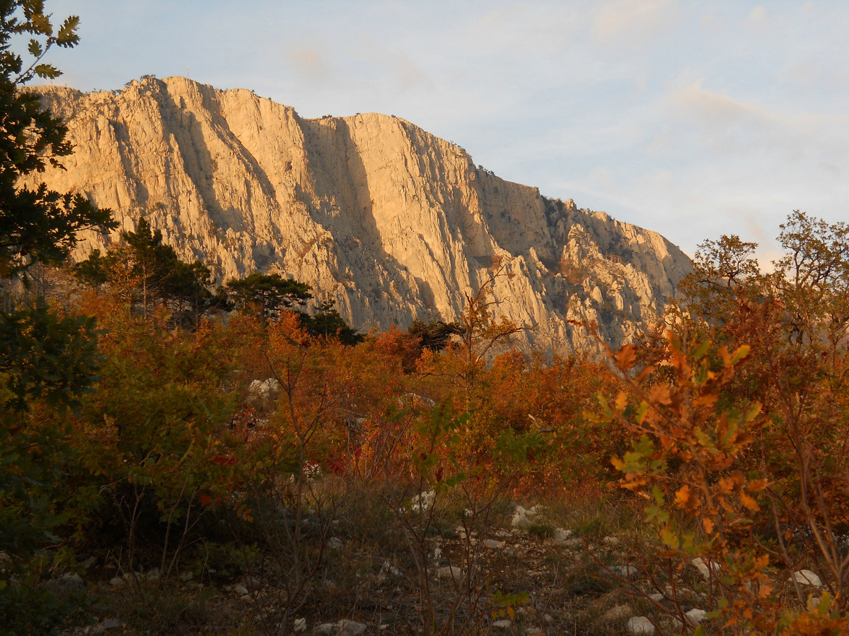 Ай-Петринская яйла, image of landscape/habitat.