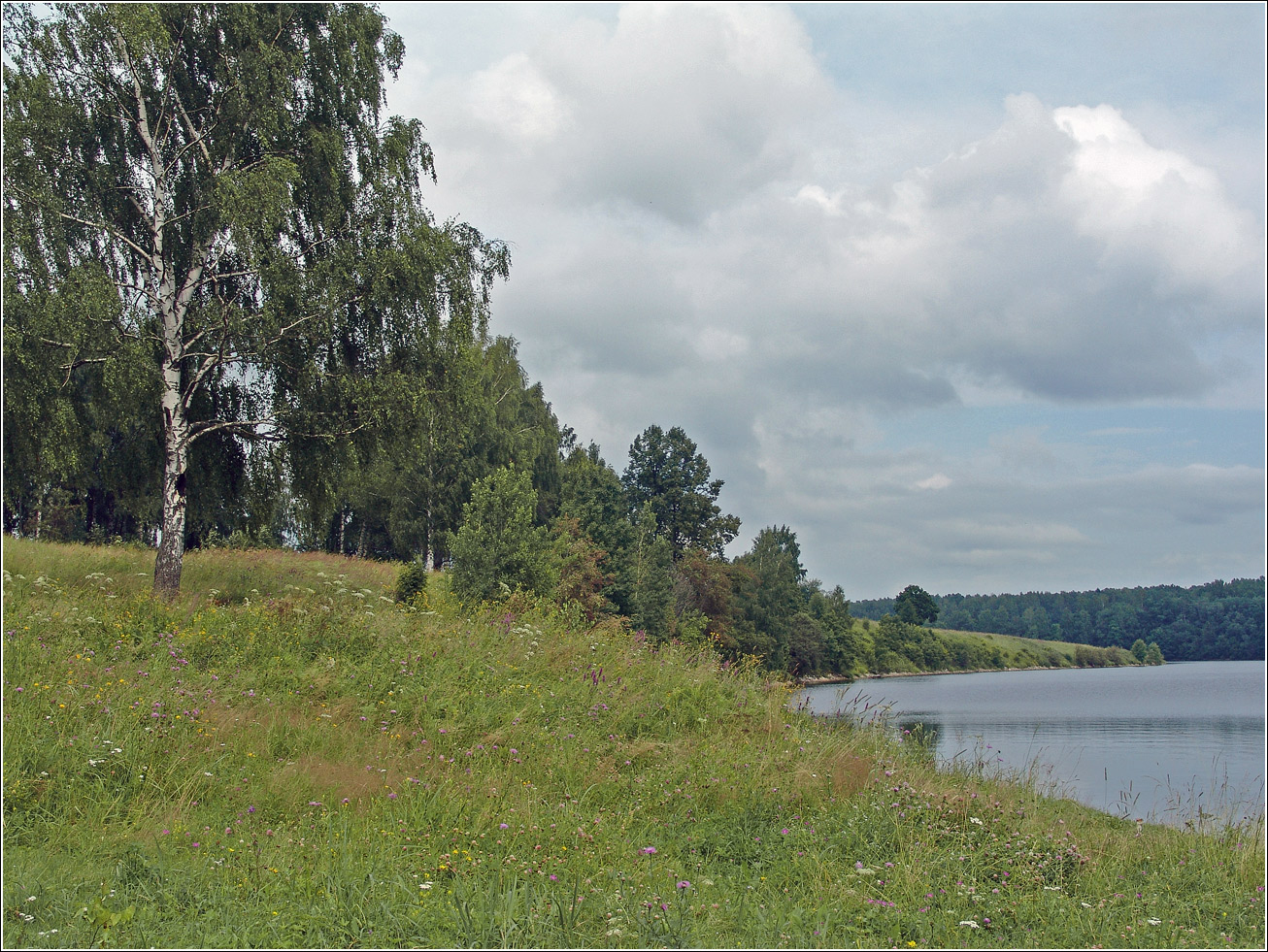 Вазуза, image of landscape/habitat.