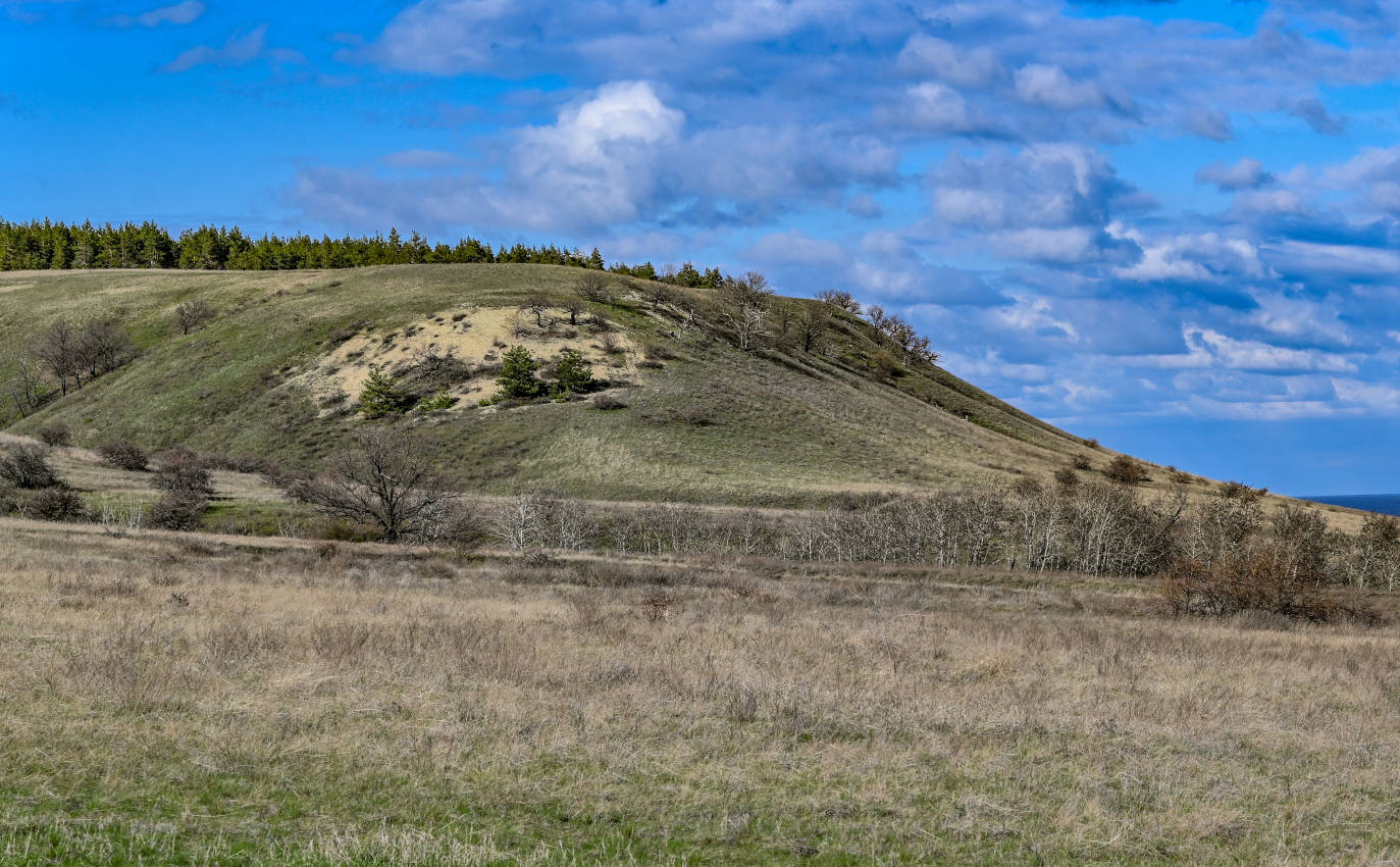 Природный парк "Щербаковский", image of landscape/habitat.