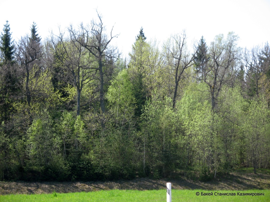 Селец, image of landscape/habitat.