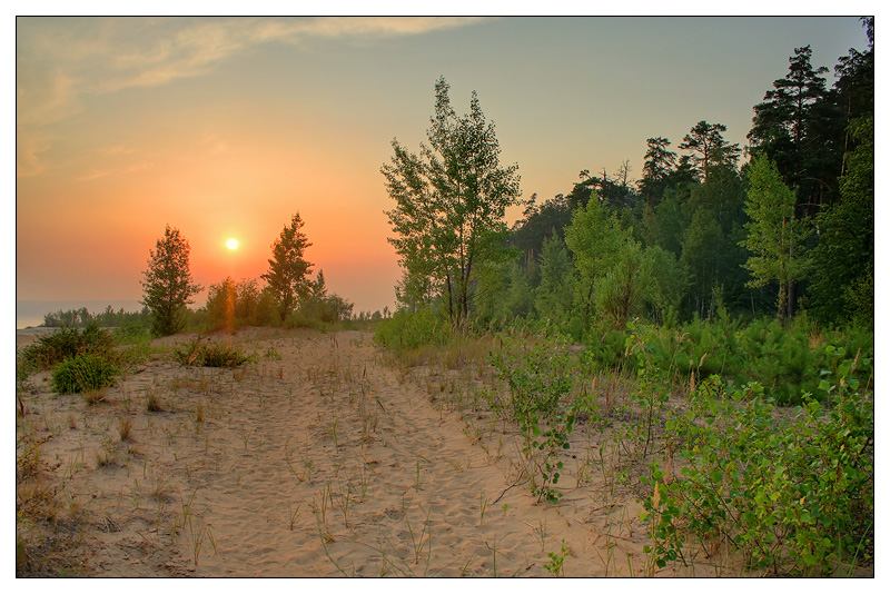 Саралы, image of landscape/habitat.