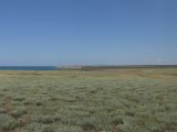 Image of landscape