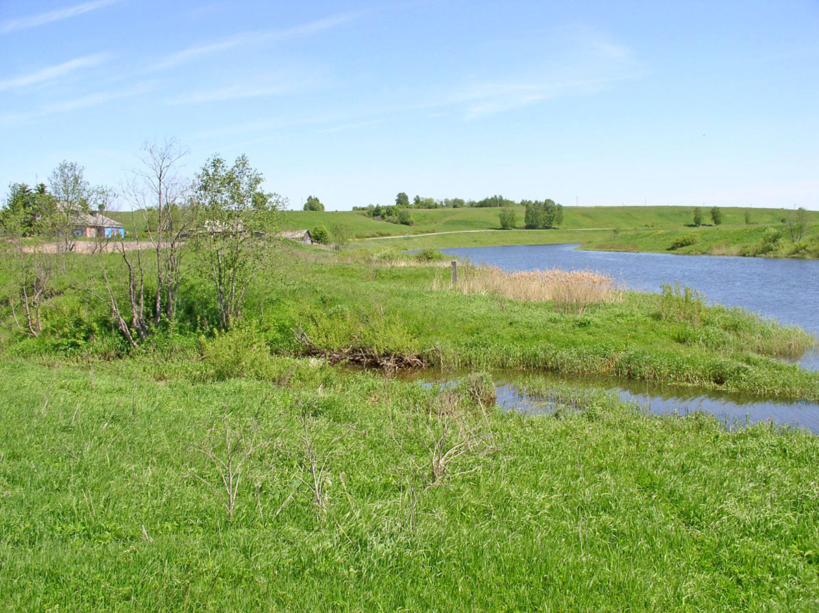 Корожечна в зоне подпора, image of landscape/habitat.