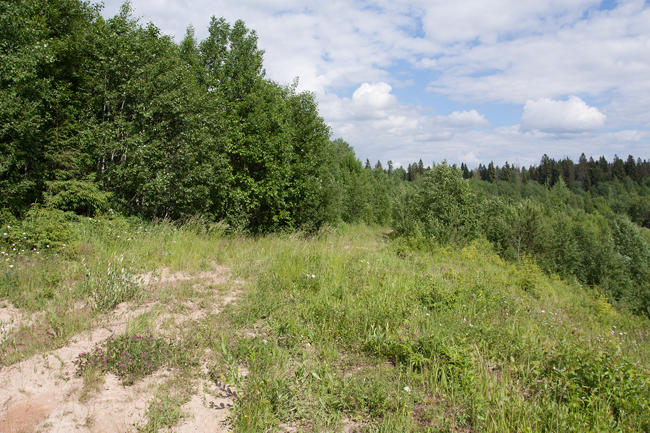 Елизаветинский карьер, image of landscape/habitat.