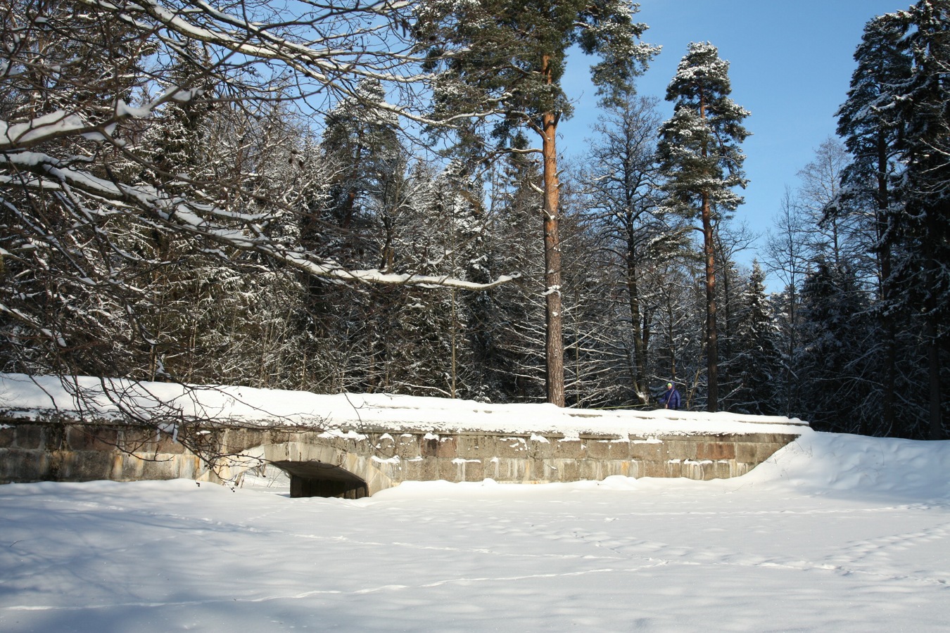 Парк "Сергиевка", image of landscape/habitat.