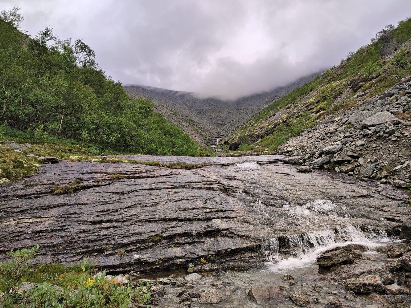 Ручей Маннепахк, image of landscape/habitat.