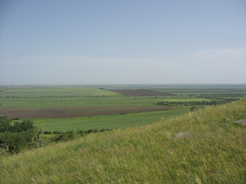 Окрестности Шишкино, image of landscape/habitat.