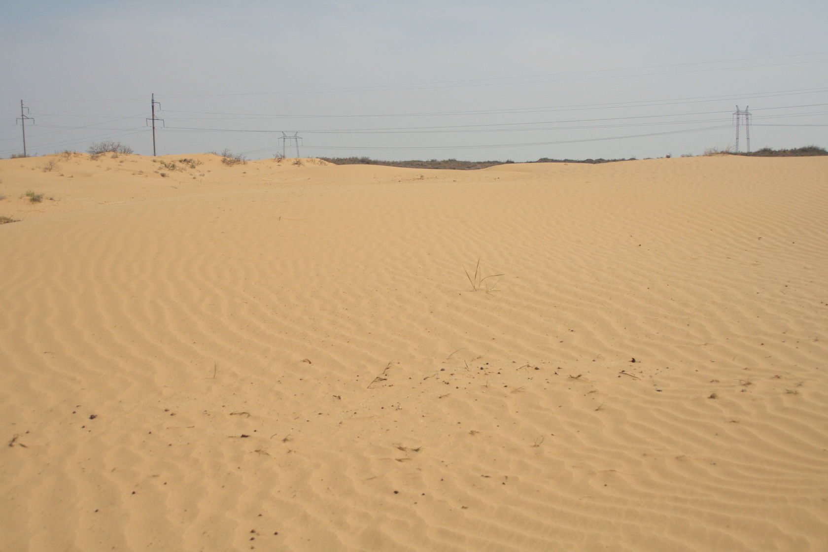Пески в окрестностях п. Досанг, image of landscape/habitat.
