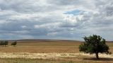 Image of landscape