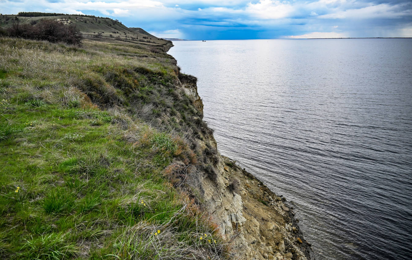 Природный парк "Щербаковский", image of landscape/habitat.