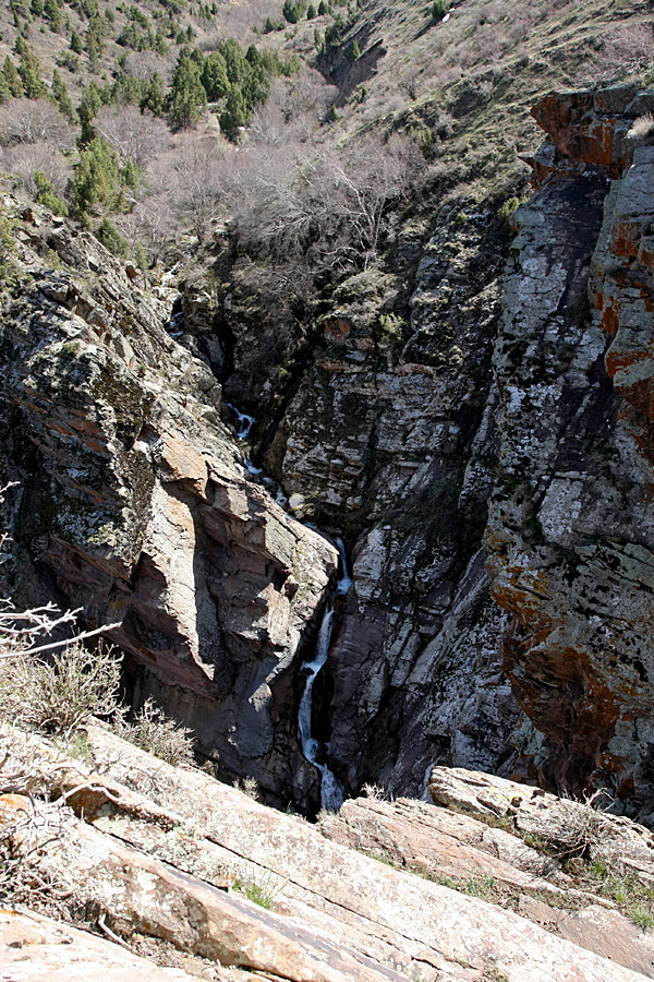 Домик Тризны, image of landscape/habitat.