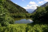 Image of landscape