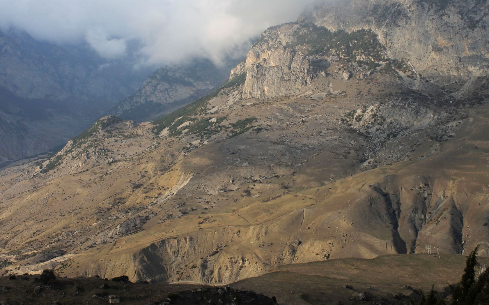 Садоно-Унальская котловина, image of landscape/habitat.