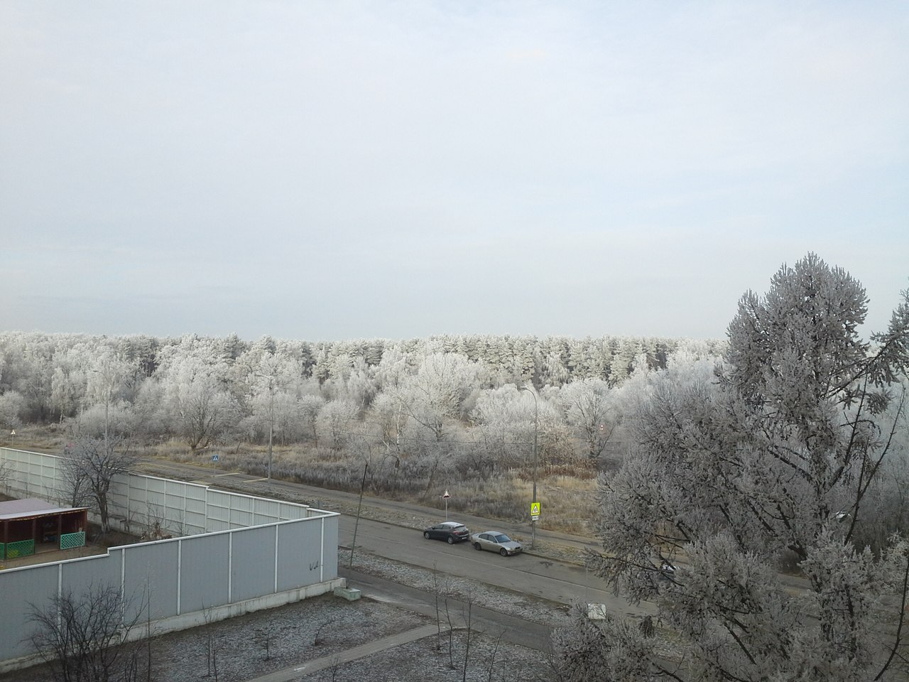 Бутовский лесопарк, image of landscape/habitat.