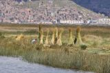 Image of landscape