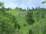 Слюдянка, image of landscape/habitat.