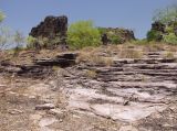 Kakadu, image of landscape/habitat.